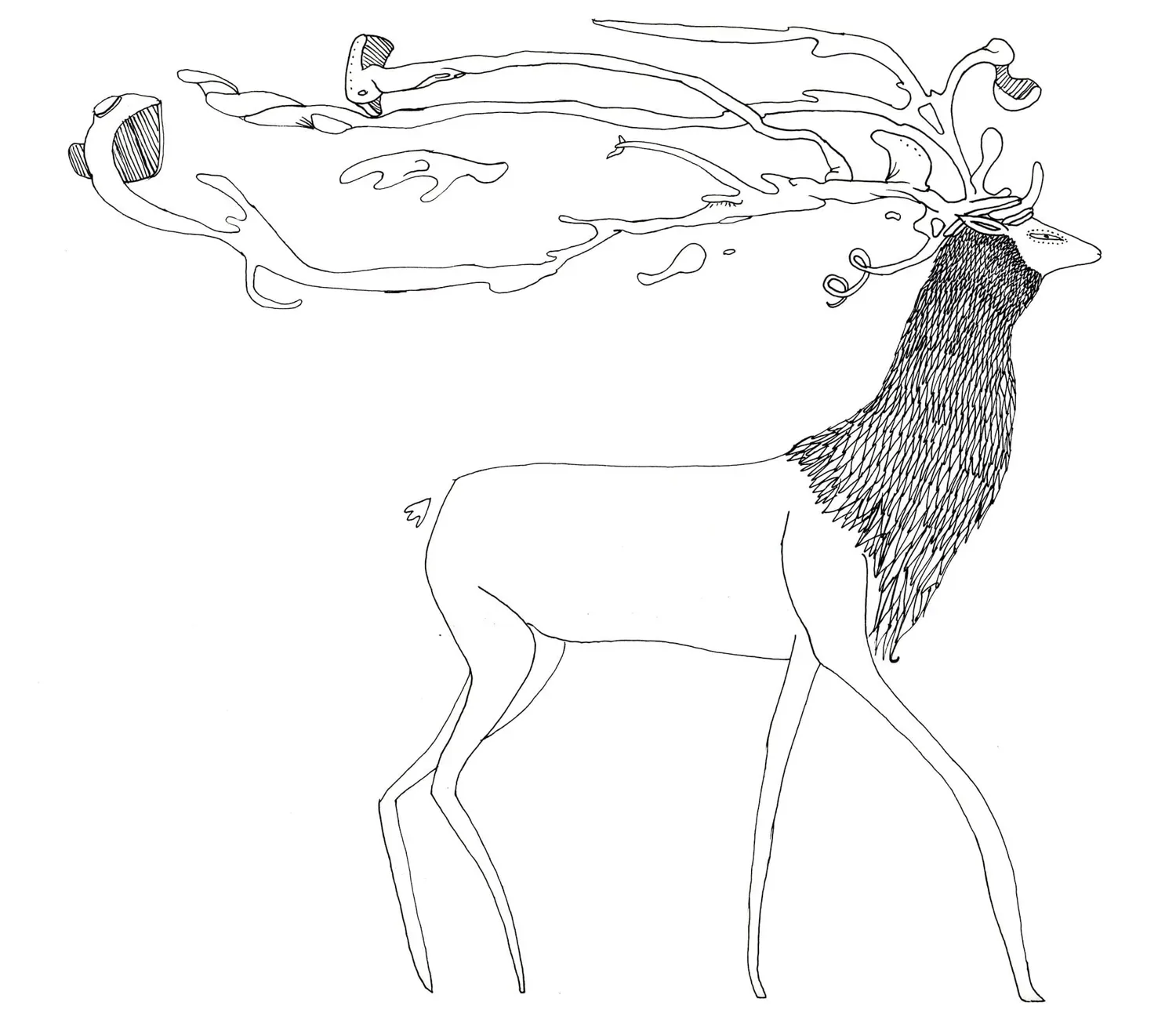 Cerf au trait fin dont le panache se prolonge en une longue coulée de formes liquides, encre noire sur fond blanc